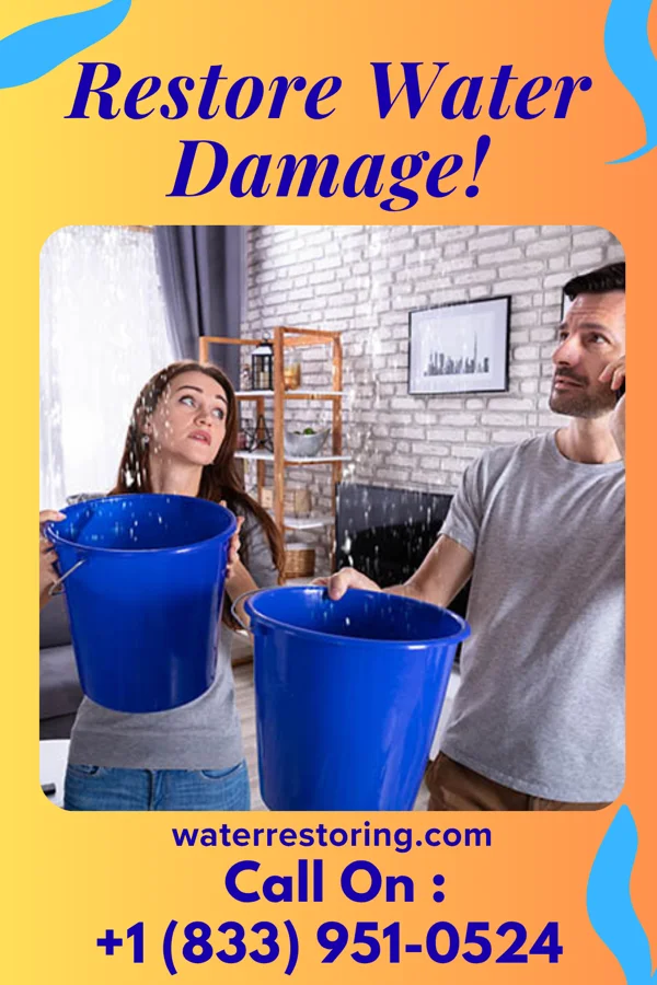 water restoration Citywide Mitigation Masters Wishek