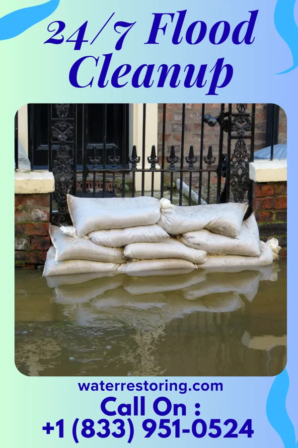 24/7 Flood Cleanup in Wishek, ND