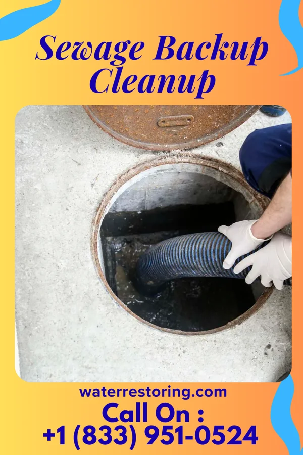 Sewage Backup Cleanup in Wishek, ND